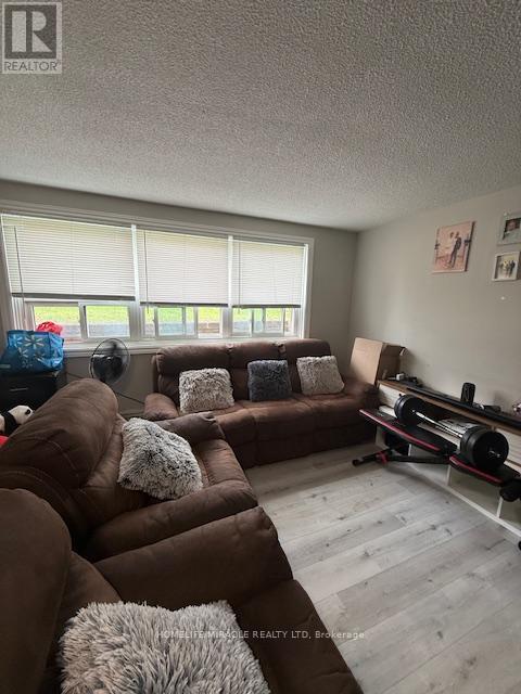9 Ellen Street, Mississauga, ON - Indoor Photo Showing Living Room