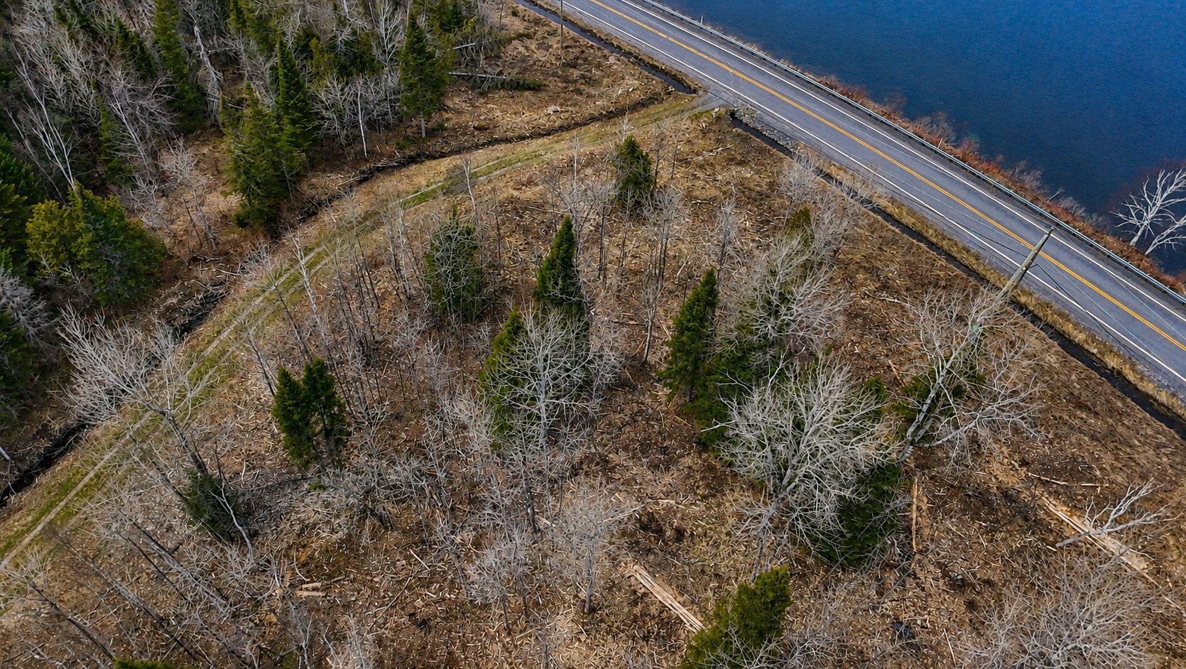 Vue d'ensemble - Rg St-Joseph, Sainte-Aurélie, QC