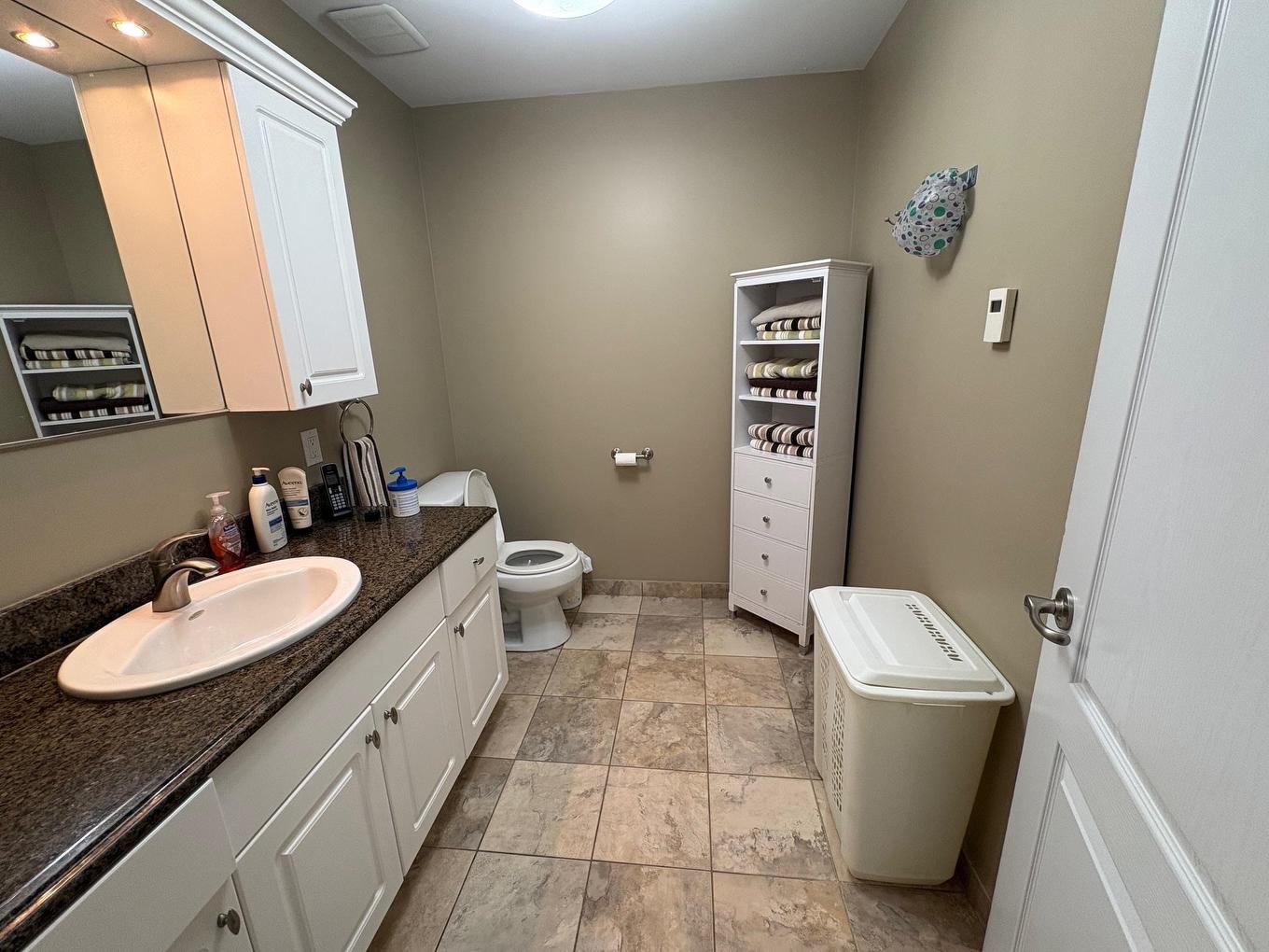 132 Wolverine Crescent, Thunder Bay, ON - Indoor Photo Showing Bathroom
