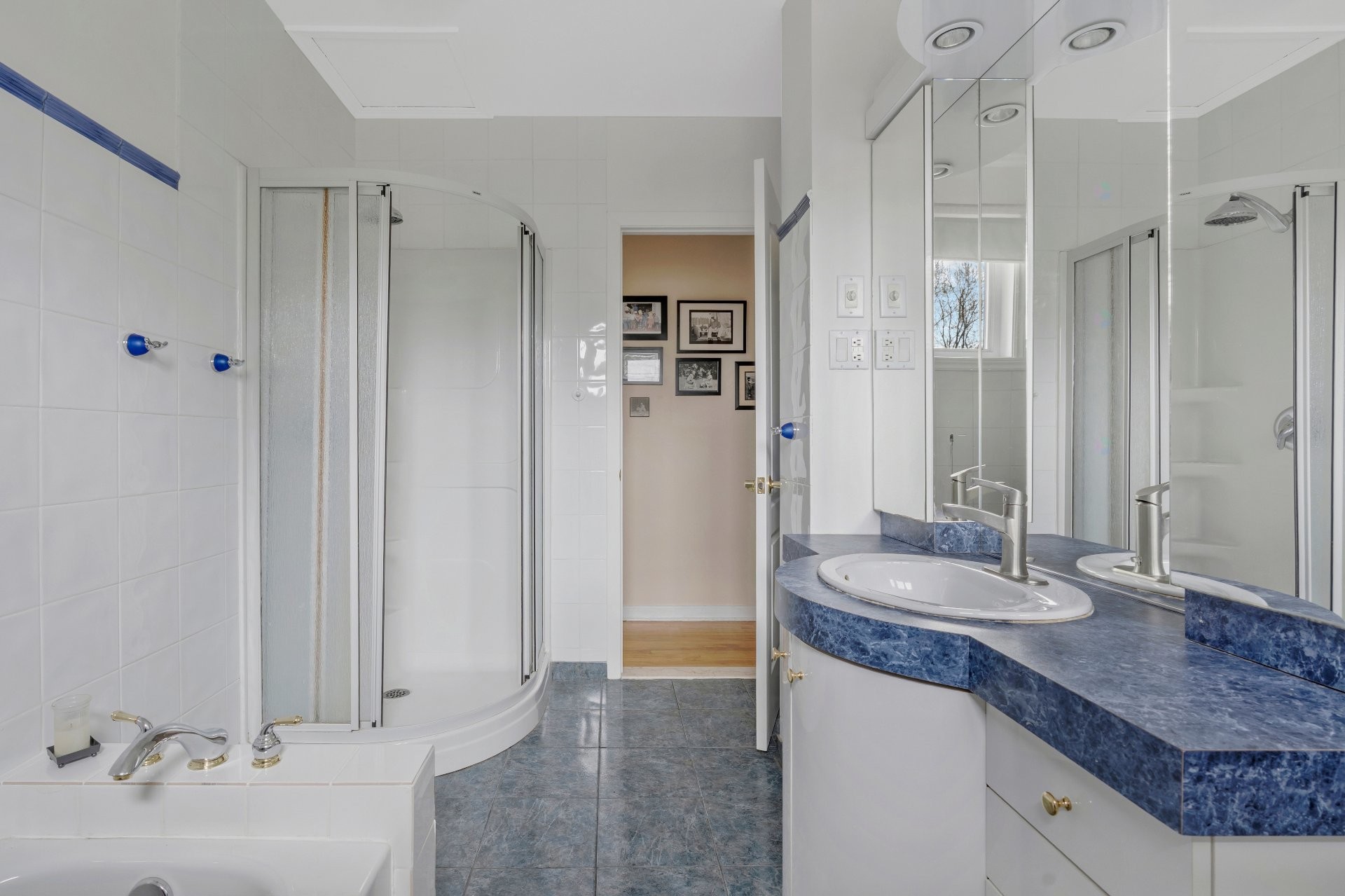Bathroom - 179 Av. Regatta, Pointe-Claire, QC - Indoor Photo Showing Bathroom