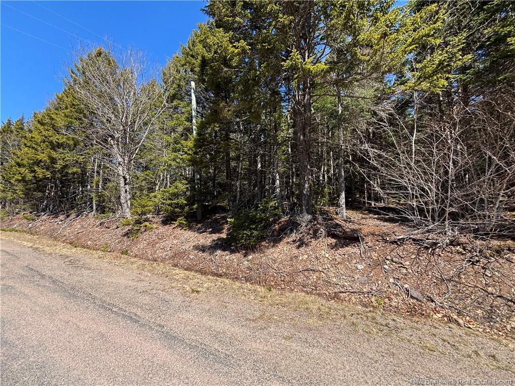 - Shore Rd, Breadalbane, NB
