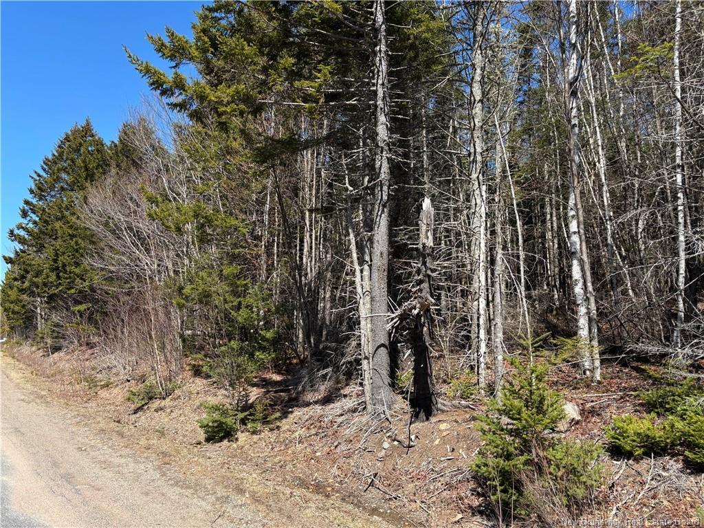 - Shore Rd, Breadalbane, NB