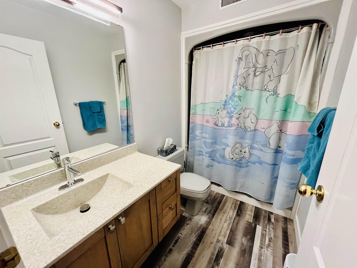 1125 Second St. E., Fort Frances, ON - Indoor Photo Showing Bathroom