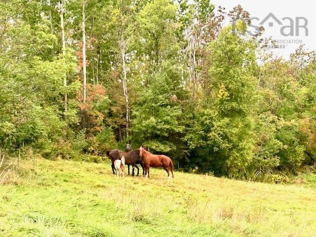 1143 Upper River John Road, Middleton, NS