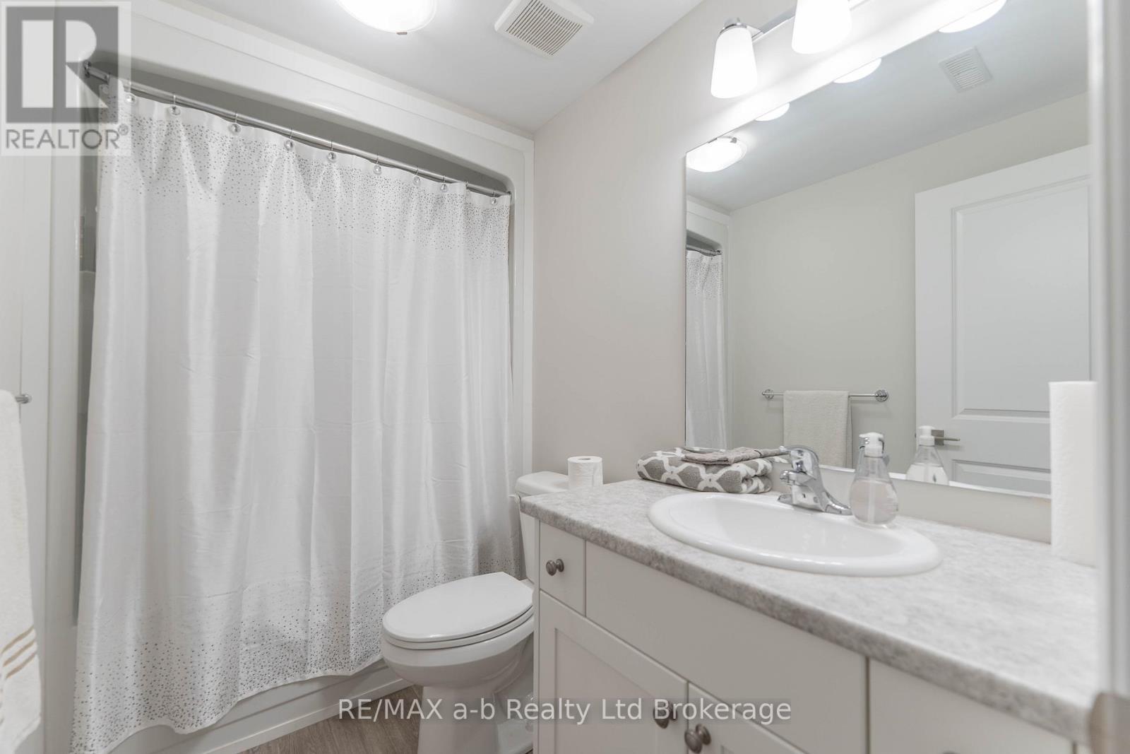 Basement Bathroom - 19 Huntley Avenue, Tillsonburg, ON - Indoor Photo Showing Bathroom