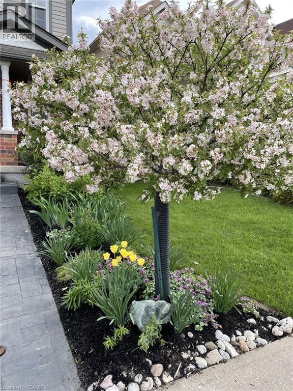 Exterior view - 126 Snowdrop Crescent, Kitchener, ON - Outdoor