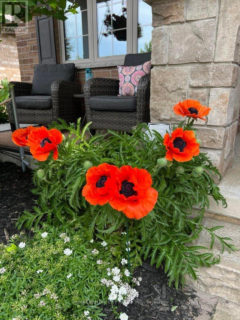 67 Peach Tree Boulevard, St. Thomas, ON - Outdoor With Deck Patio Veranda