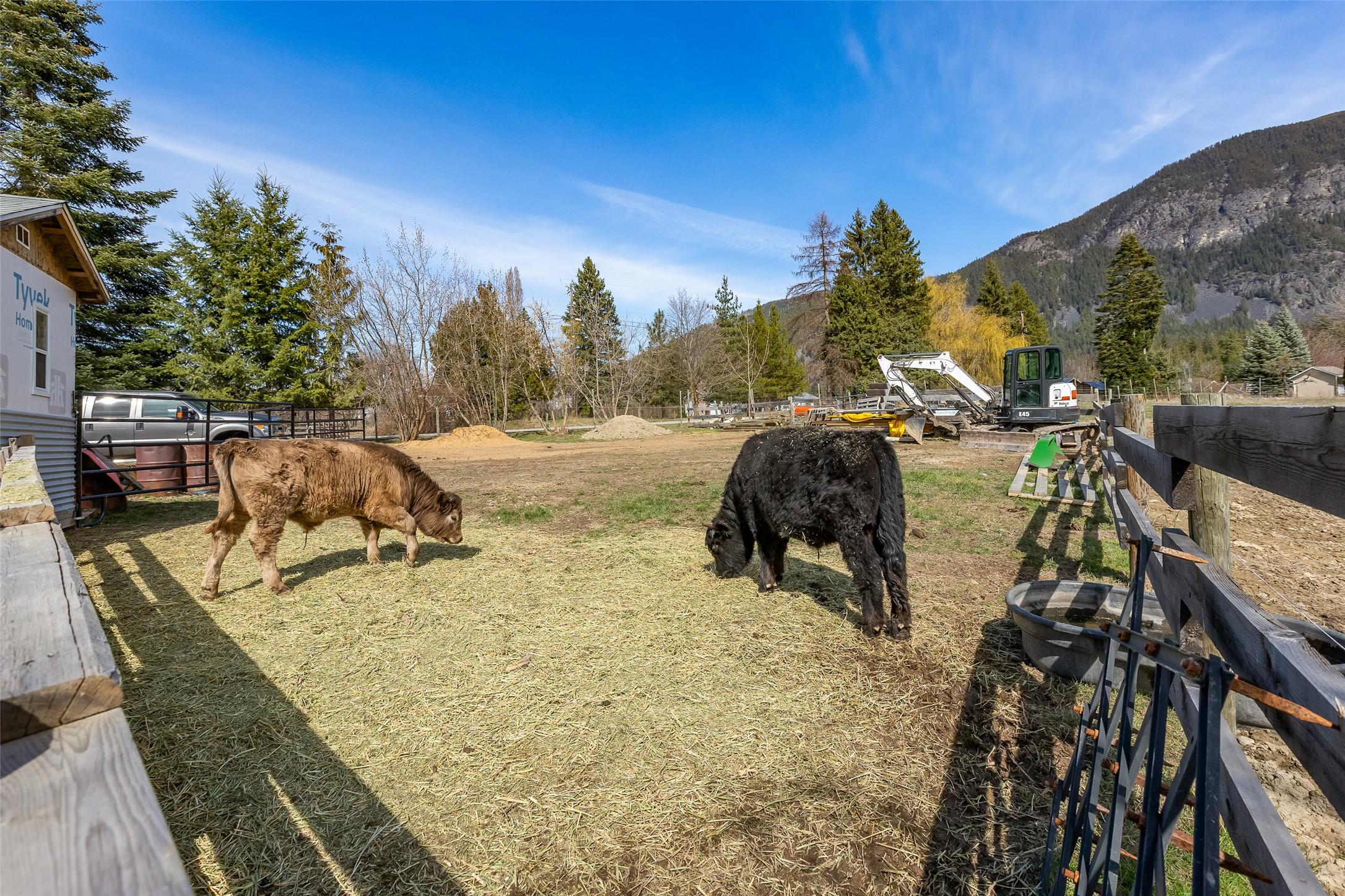 3955 46Th Street, Creston, BC - Outdoor