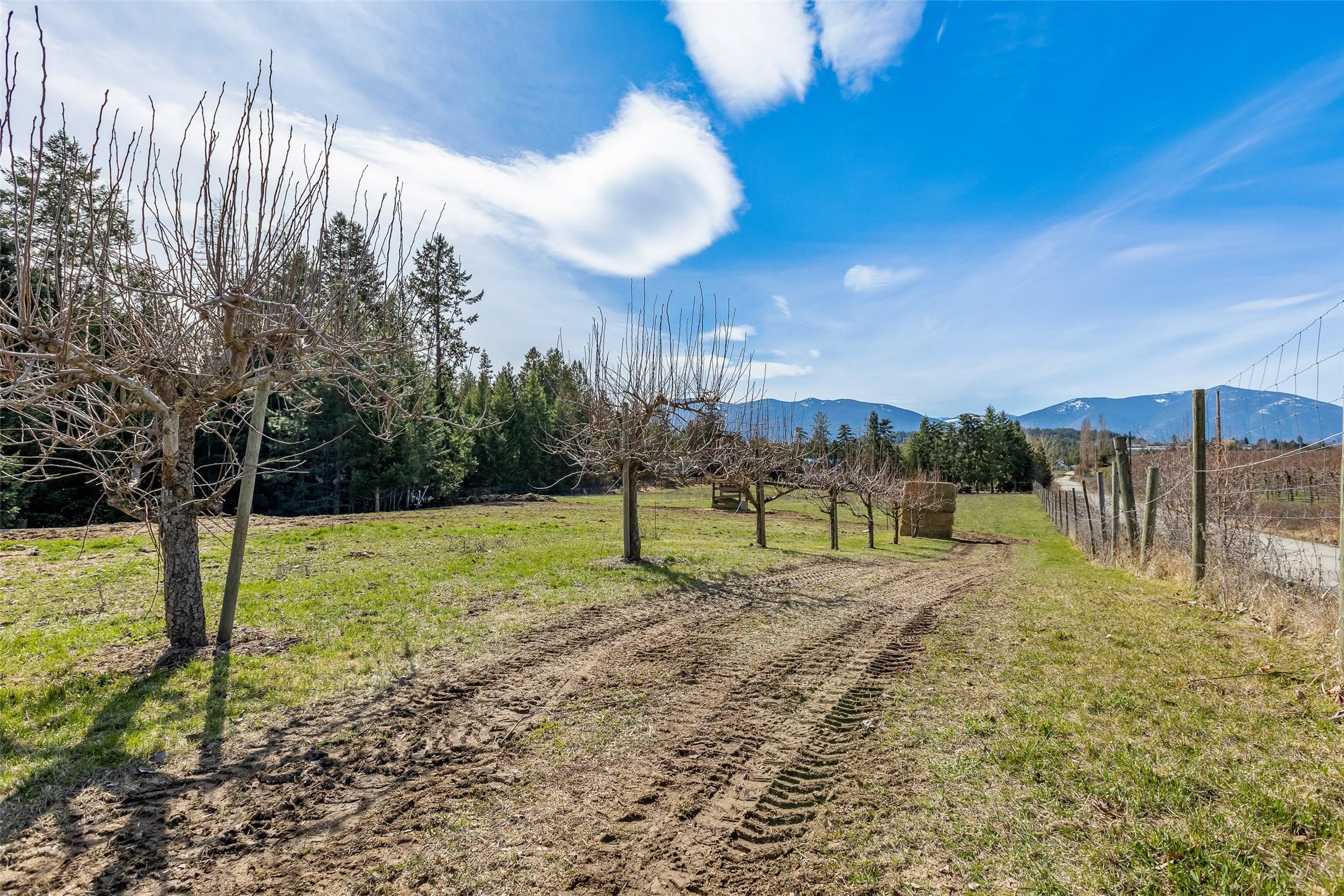 3955 46Th Street, Creston, BC - Outdoor With View