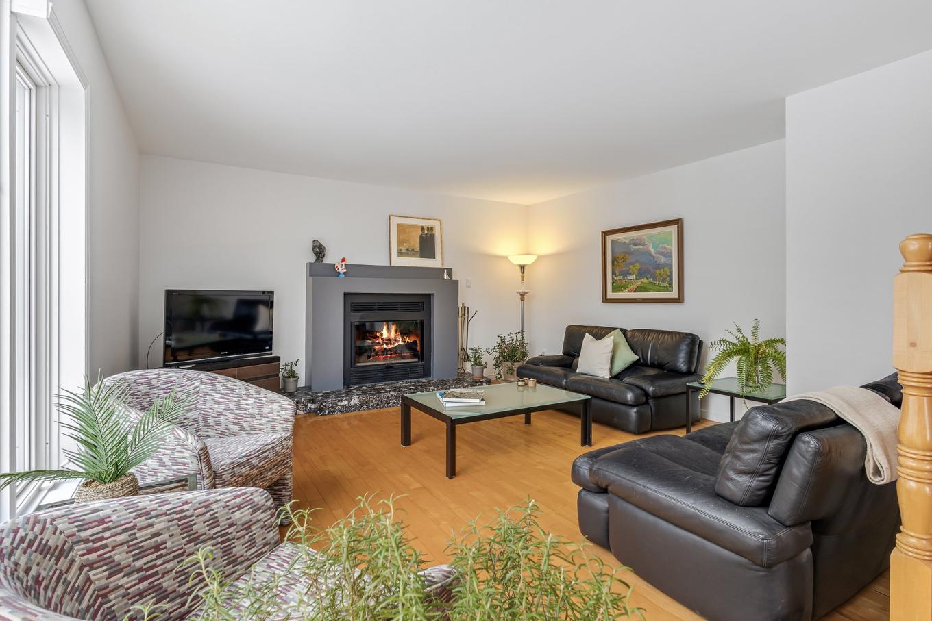Salon - 114 Ch. Du Mont-Shefford, Shefford, QC - Indoor Photo Showing Living Room With Fireplace