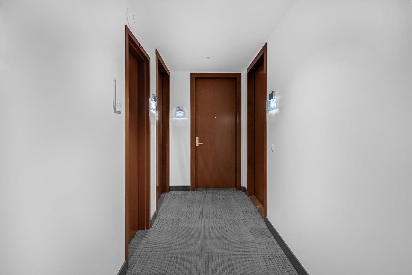 Entrée extérieure - 2505-495 Av. Viger O., Montréal (Ville-Marie), QC - Indoor Photo Showing Other Room