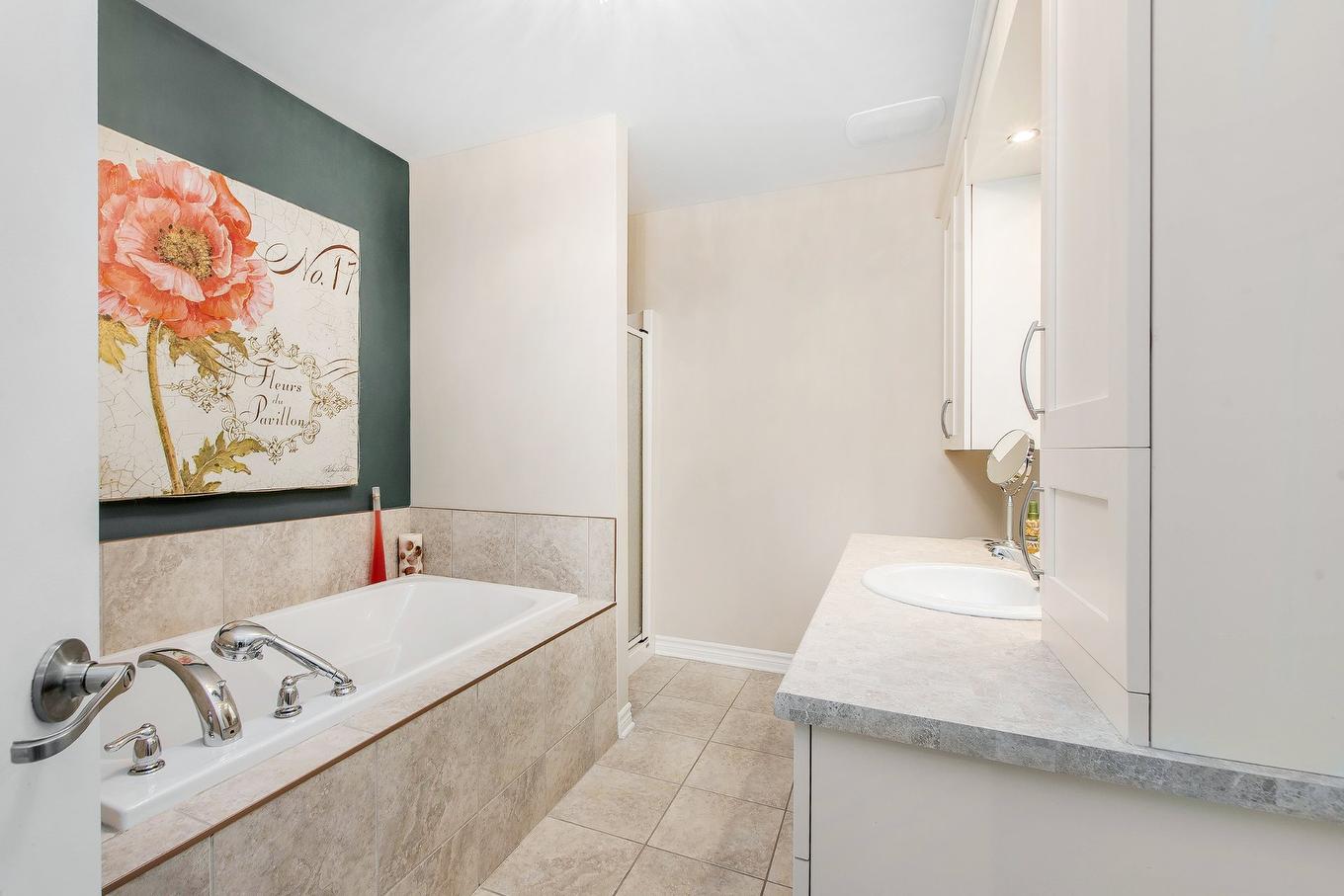 Salle de bains - 203-645 Rue Montmartre, Mascouche, QC - Indoor Photo Showing Bathroom