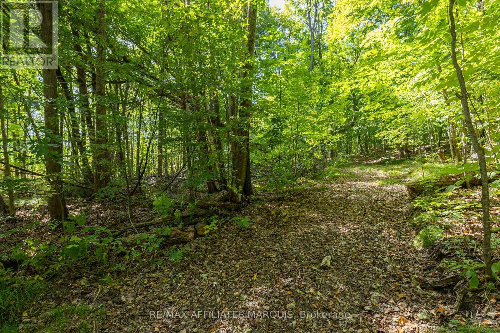 19112 Hwy 7 Highway, Tay Valley, ON