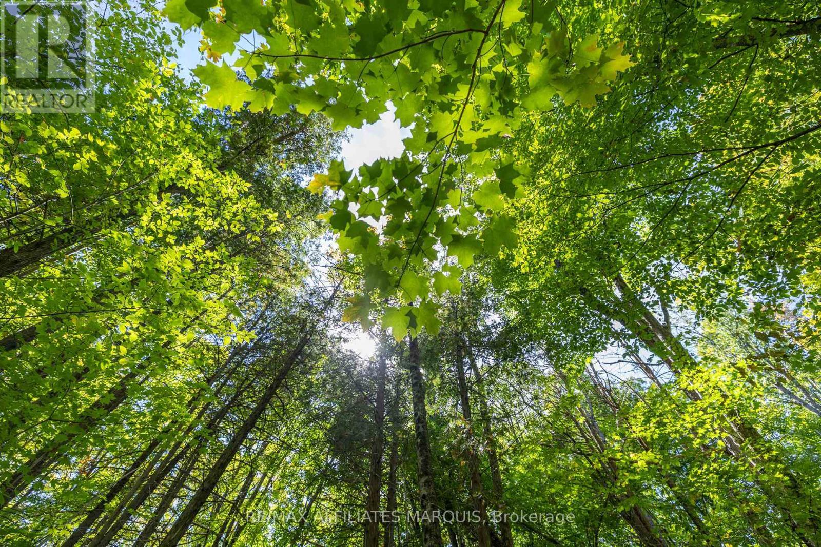 19112 Hwy 7 Highway, Tay Valley, ON