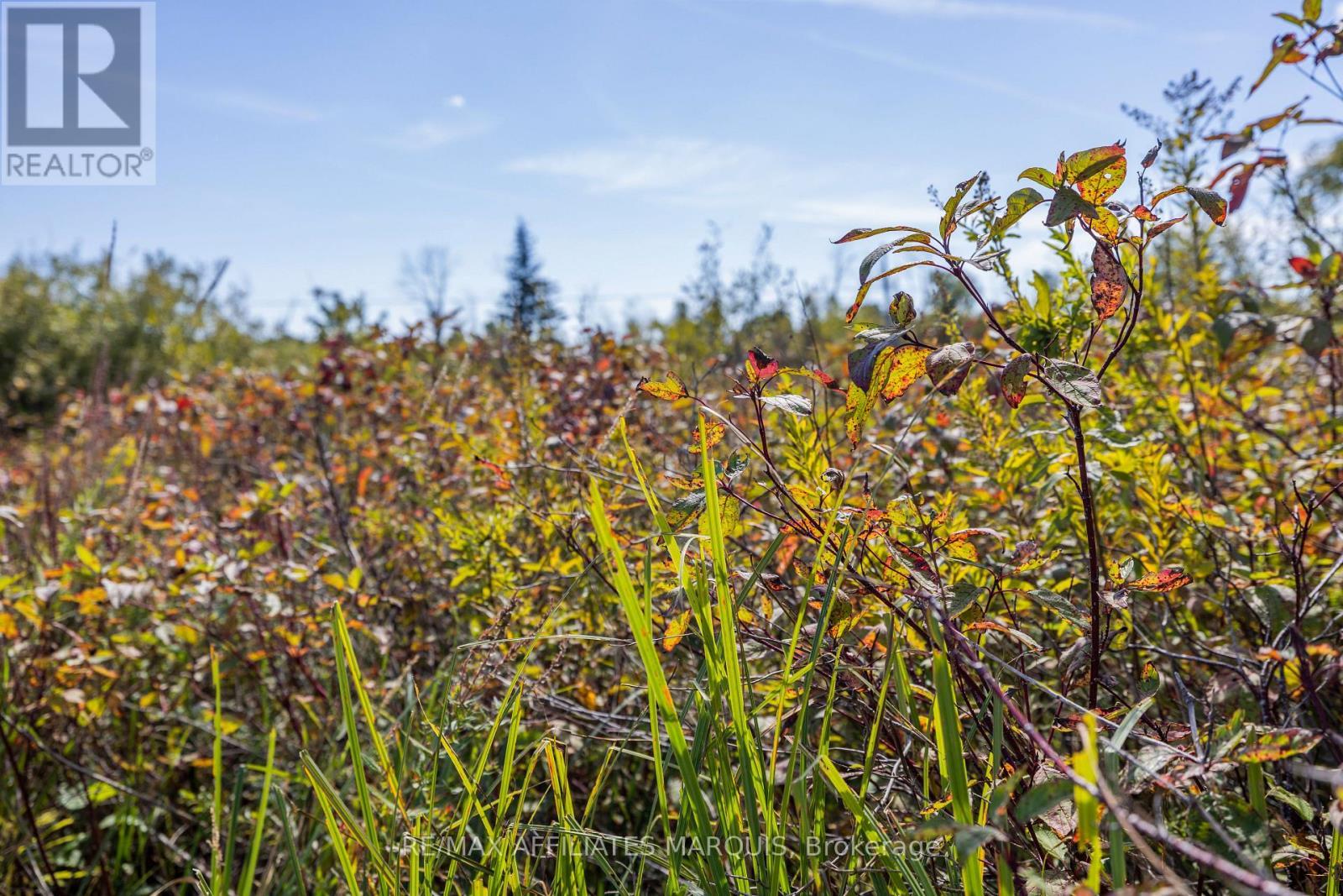 19112 Hwy 7 Highway, Tay Valley, ON