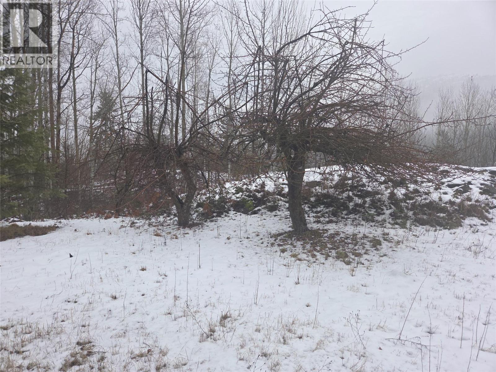 1381 3B Highway, Warfield, BC - Outdoor With View