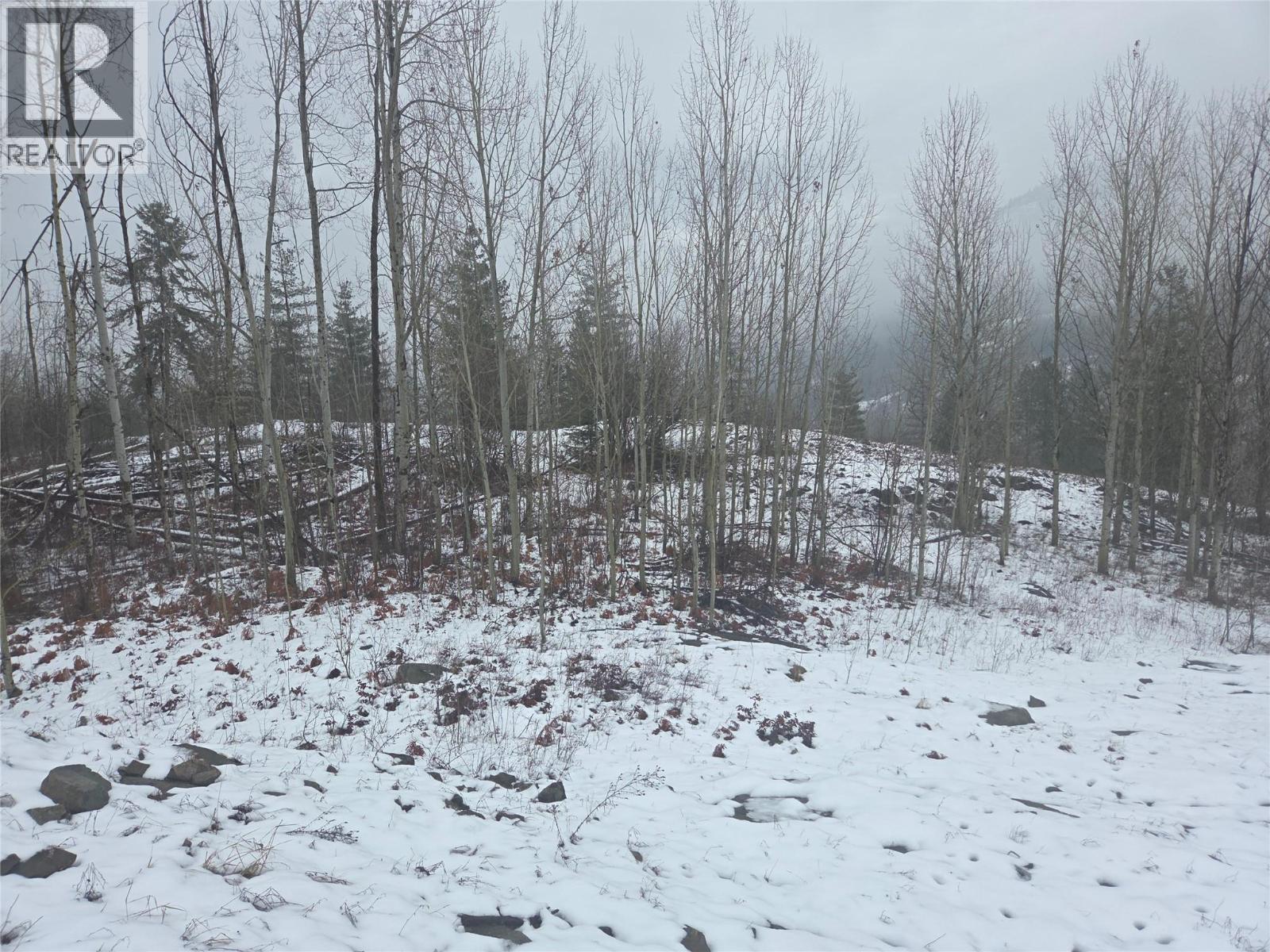1381 3B Highway, Warfield, BC - Outdoor With View