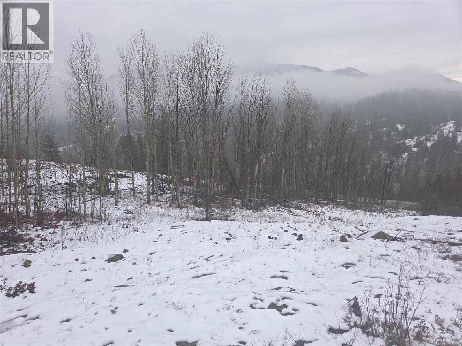 1381 3B Highway, Warfield, BC - Outdoor With View