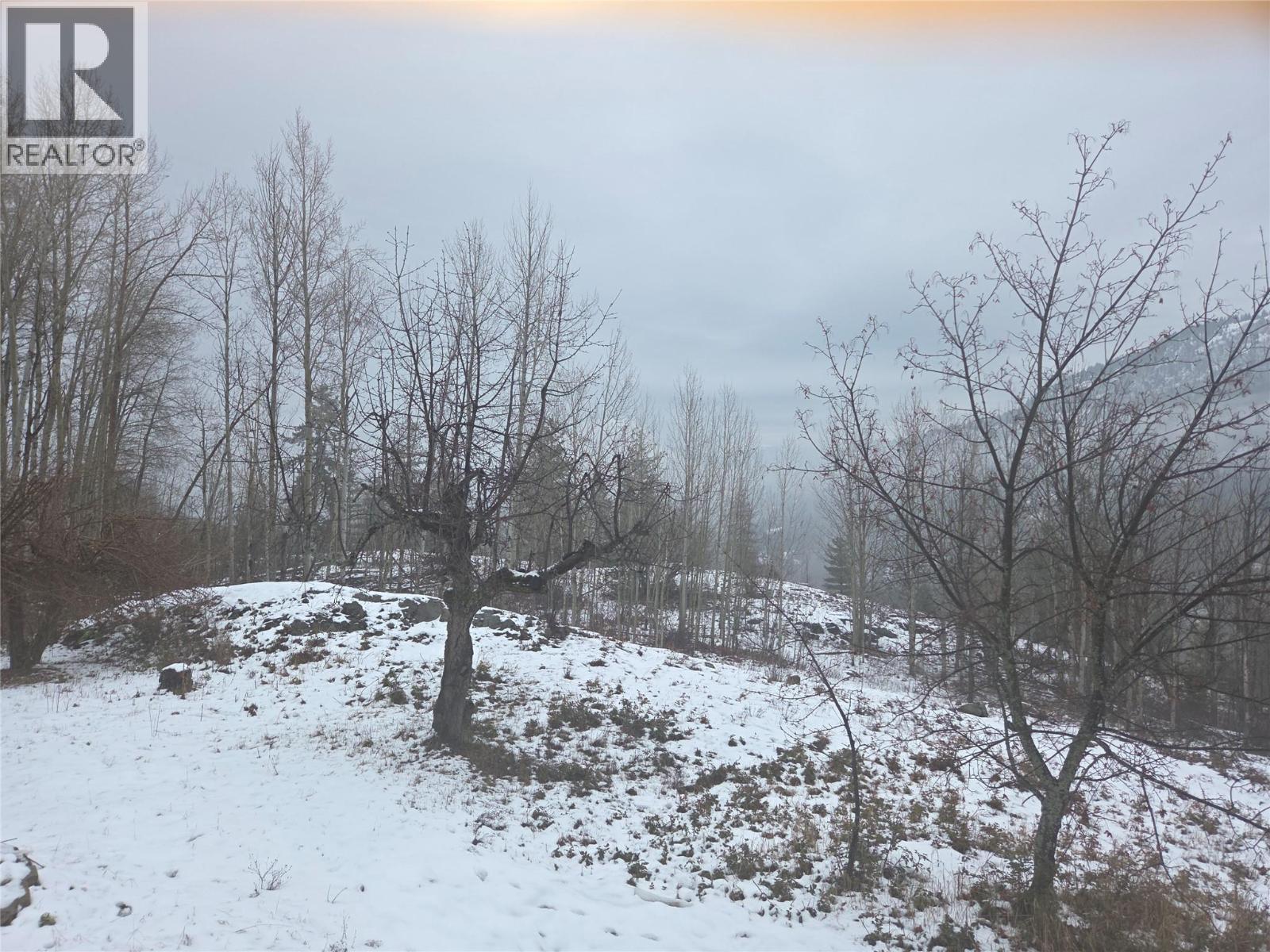 1381 3B Highway, Warfield, BC - Outdoor With View