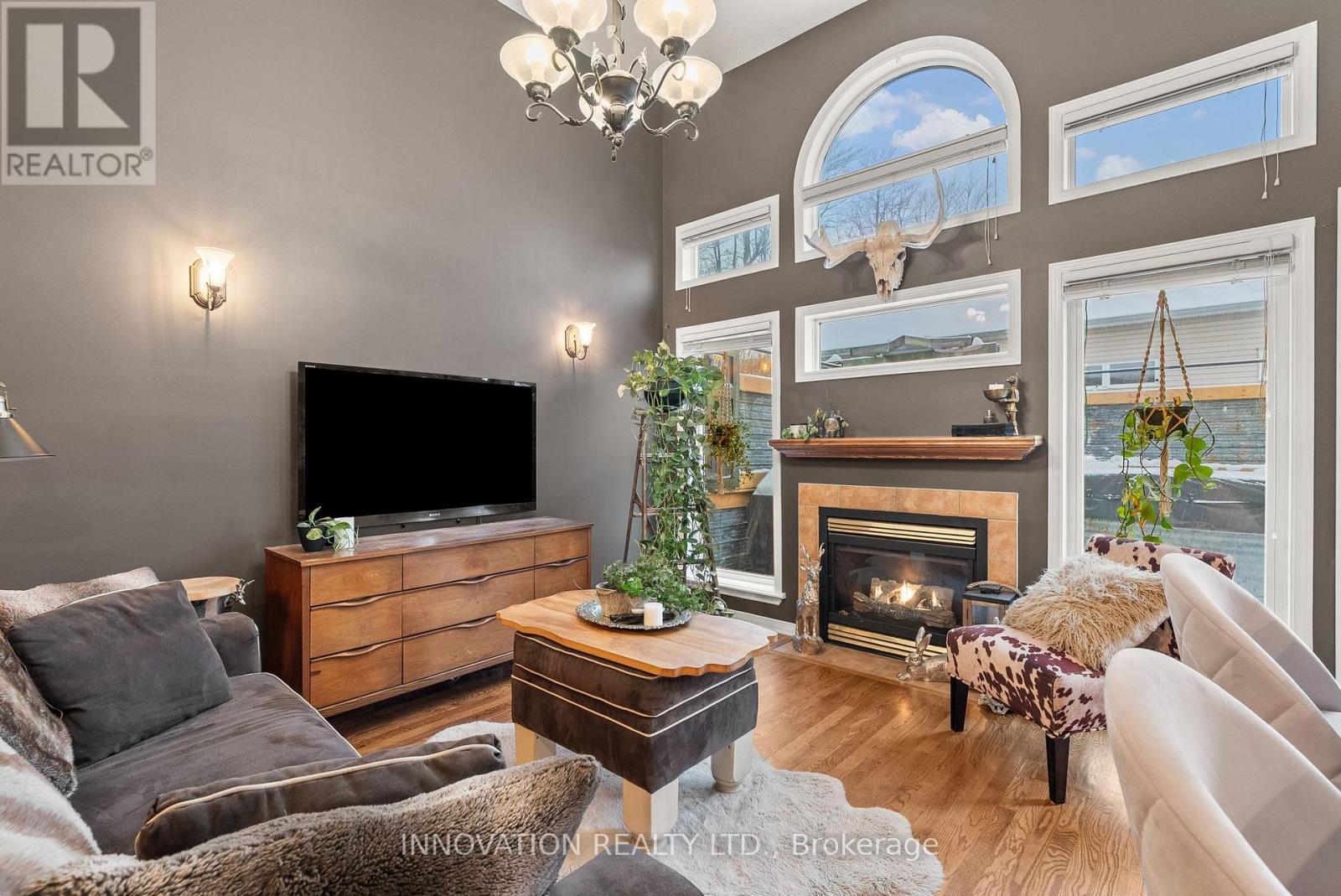 246 Gladeview Private, Ottawa, ON - Indoor Photo Showing Living Room With Fireplace