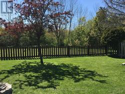 Seller's Summer Picture -