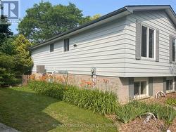 Seller's Summer Picture -