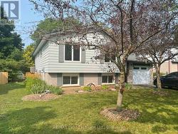 Seller's Summer Picture -