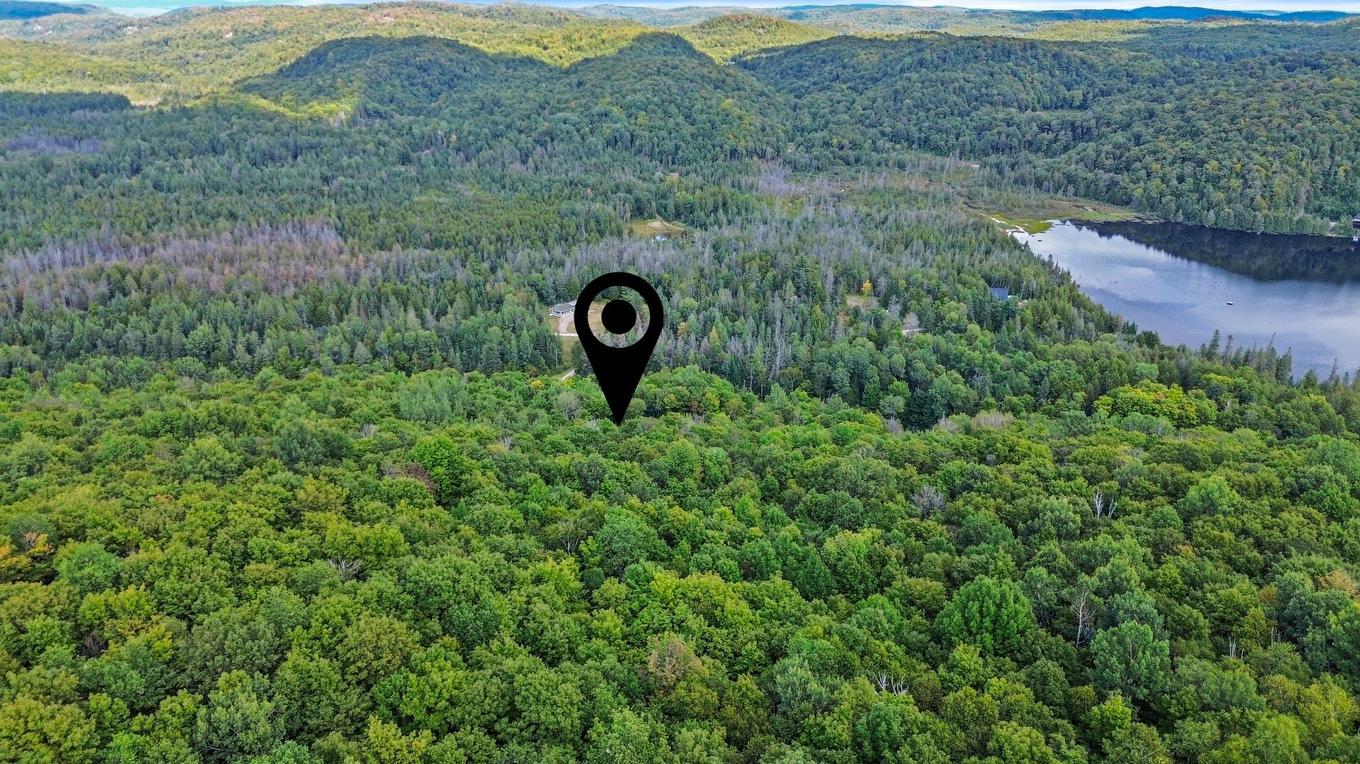 Vue d'ensemble - 323 Ch. Scotch, Grenville-Sur-La-Rouge, QC - Outdoor With View