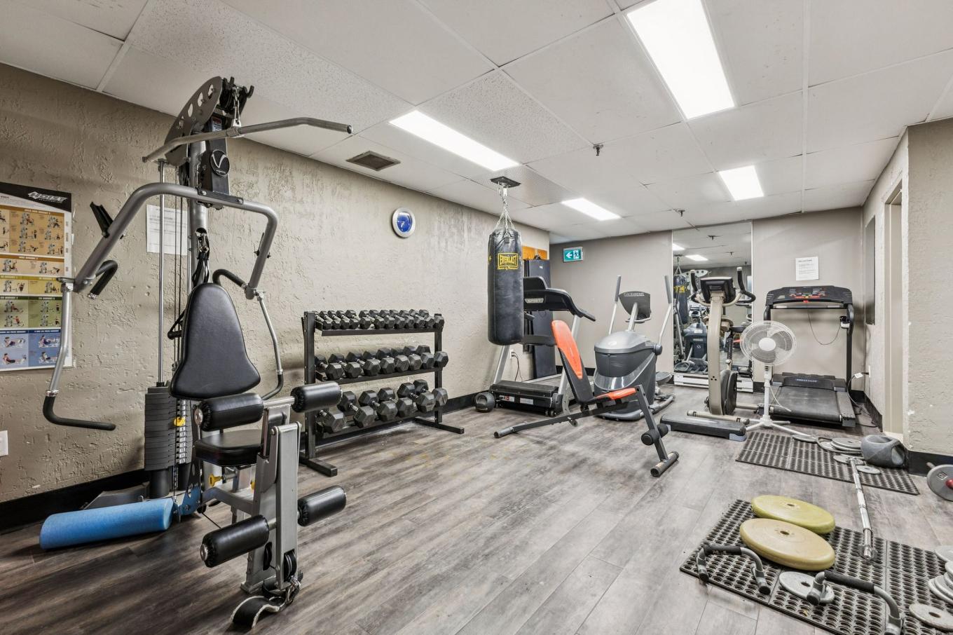 Exercise room - 606-259 Rue Champlain, Gatineau (Hull), QC - Indoor Photo Showing Gym Room