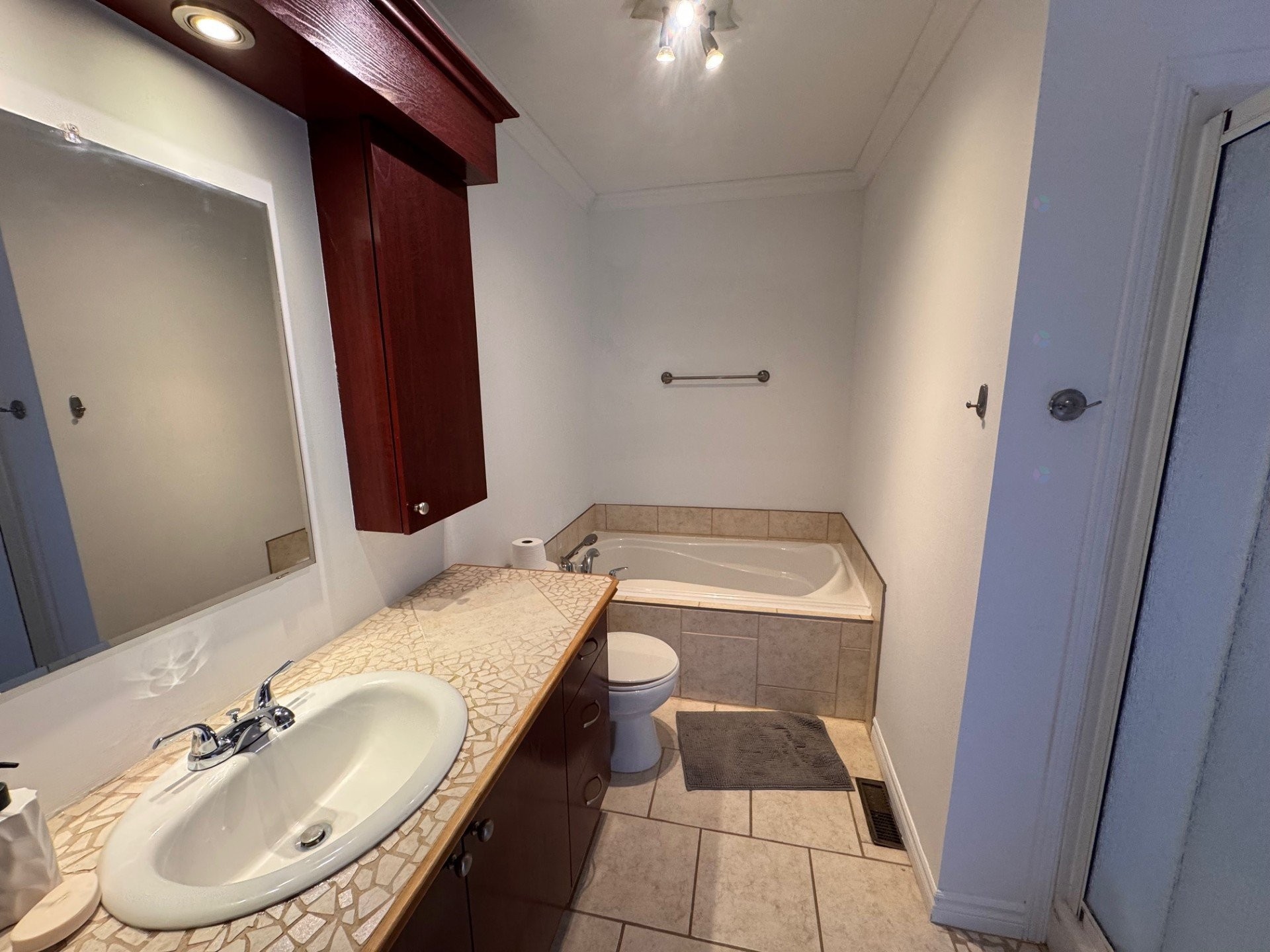 Bathroom - 7844 Rue Lemelin, Brossard, QC - Indoor Photo Showing Bathroom