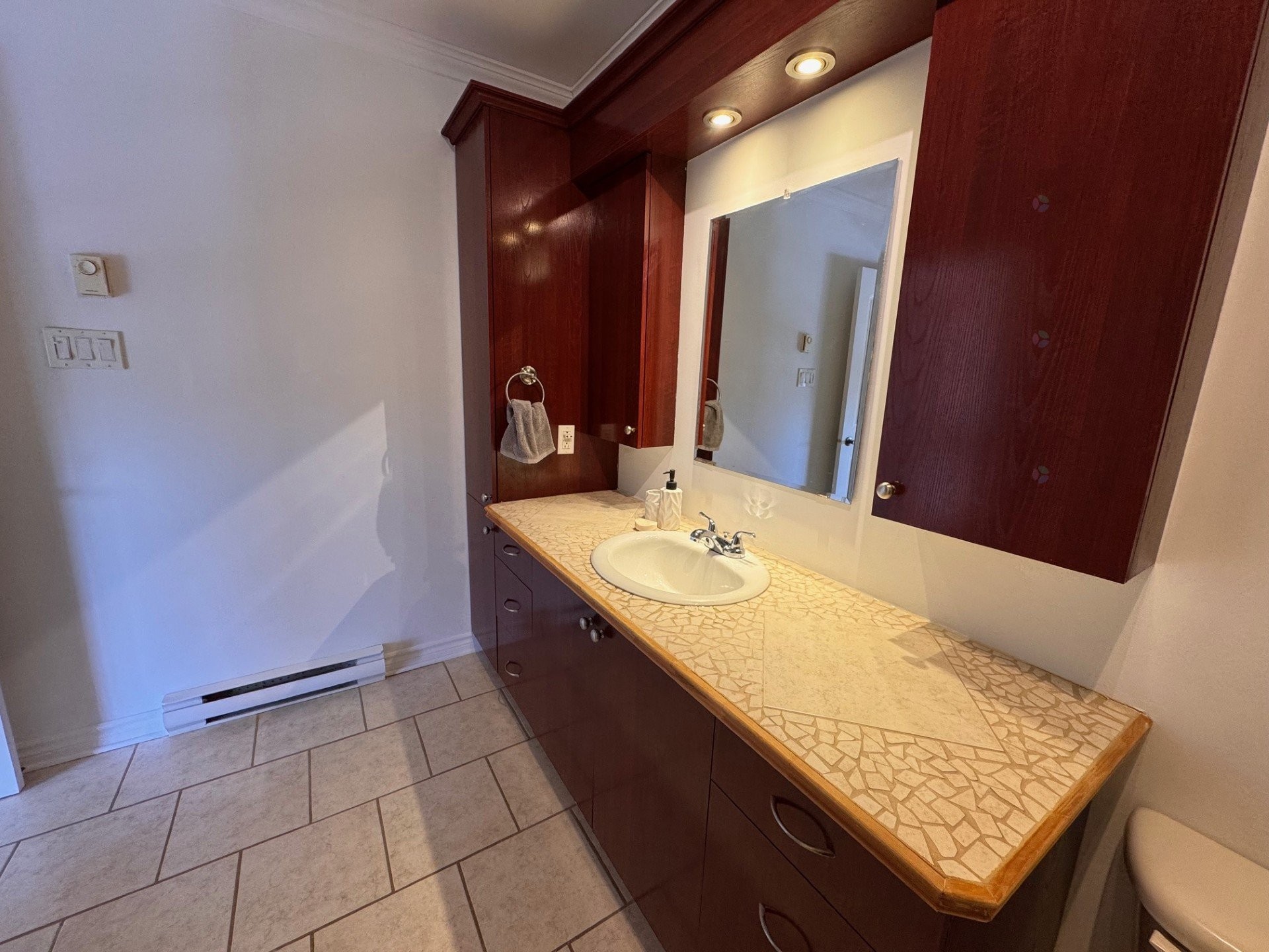 Bathroom - 7844 Rue Lemelin, Brossard, QC - Indoor Photo Showing Bathroom