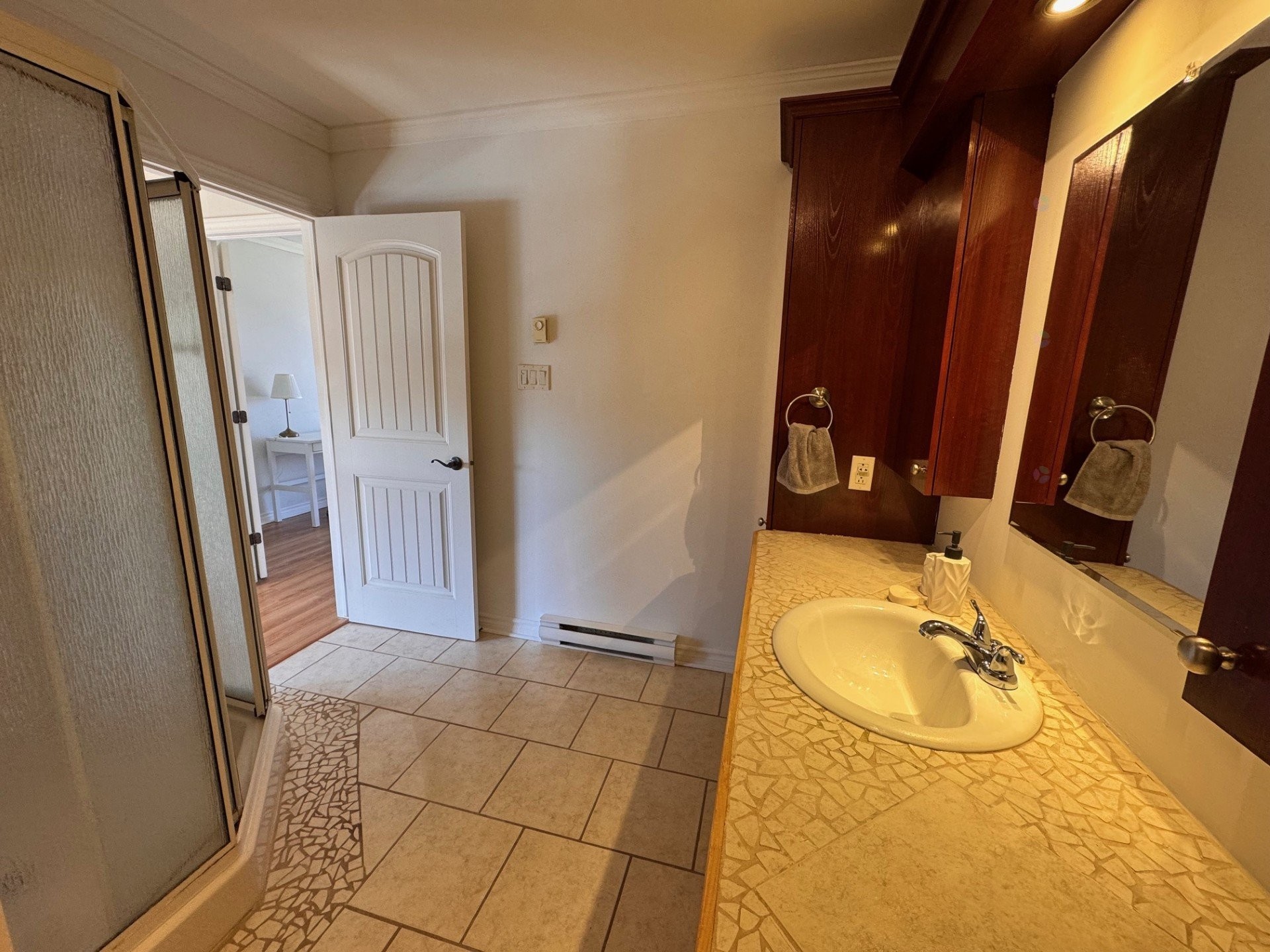 Bathroom - 7844 Rue Lemelin, Brossard, QC - Indoor Photo Showing Bathroom