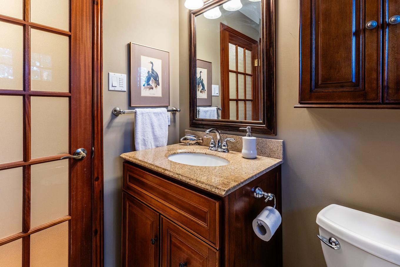 Salle de bains - 325 Rue Landry, Lévis (Les Chutes-De-La-Chaudière-Ouest), QC - Indoor Photo Showing Bathroom