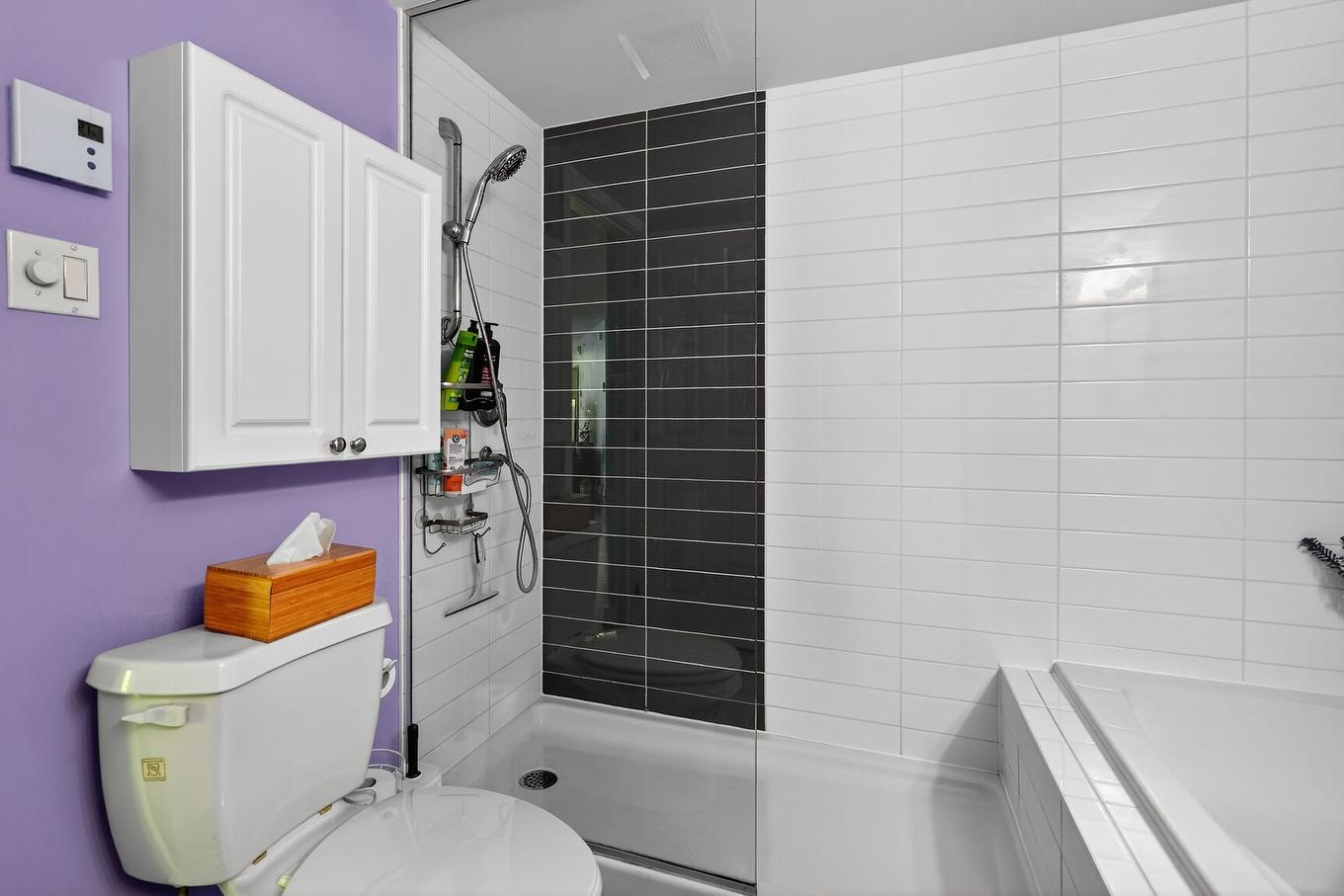 Salle de bains - 365-10650 Place De L'Acadie, Montréal (Ahuntsic-Cartierville), QC - Indoor Photo Showing Bathroom