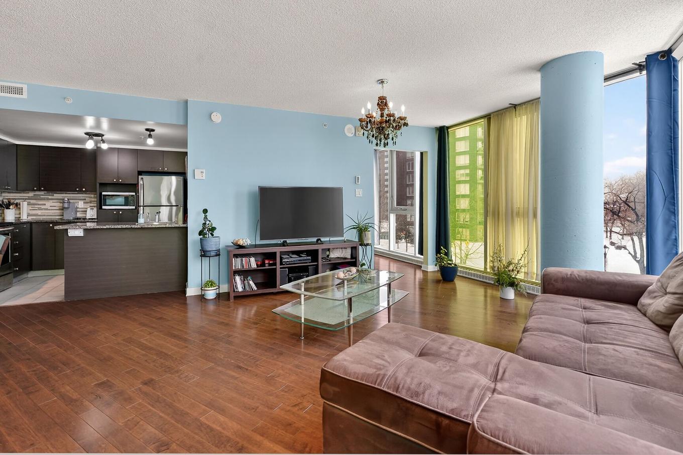 Salon - 365-10650 Place De L'Acadie, Montréal (Ahuntsic-Cartierville), QC - Indoor Photo Showing Living Room