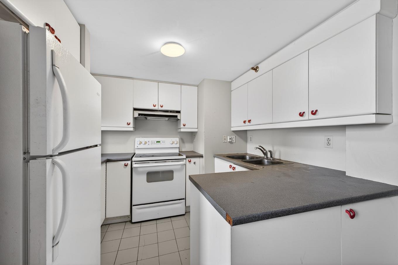 Kitchen - 324-260 Rue Sherbrooke E., Montréal (Ville-Marie), QC - Indoor Photo Showing Kitchen With Double Sink