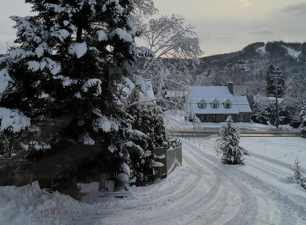 View - 541 Rue Principale, Saint-Sauveur, QC - Outdoor With View