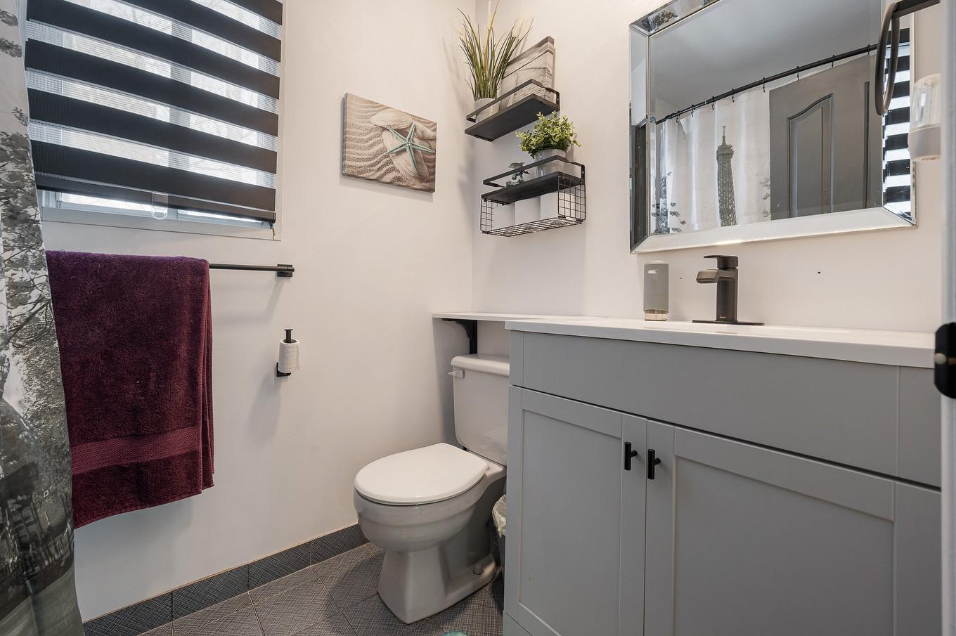 Bathroom - 541 Rue Principale, Saint-Sauveur, QC - Indoor Photo Showing Bathroom