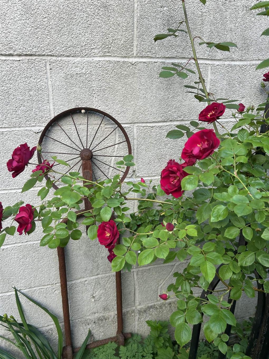 5523 Sebastian Pl, Halifax, NS