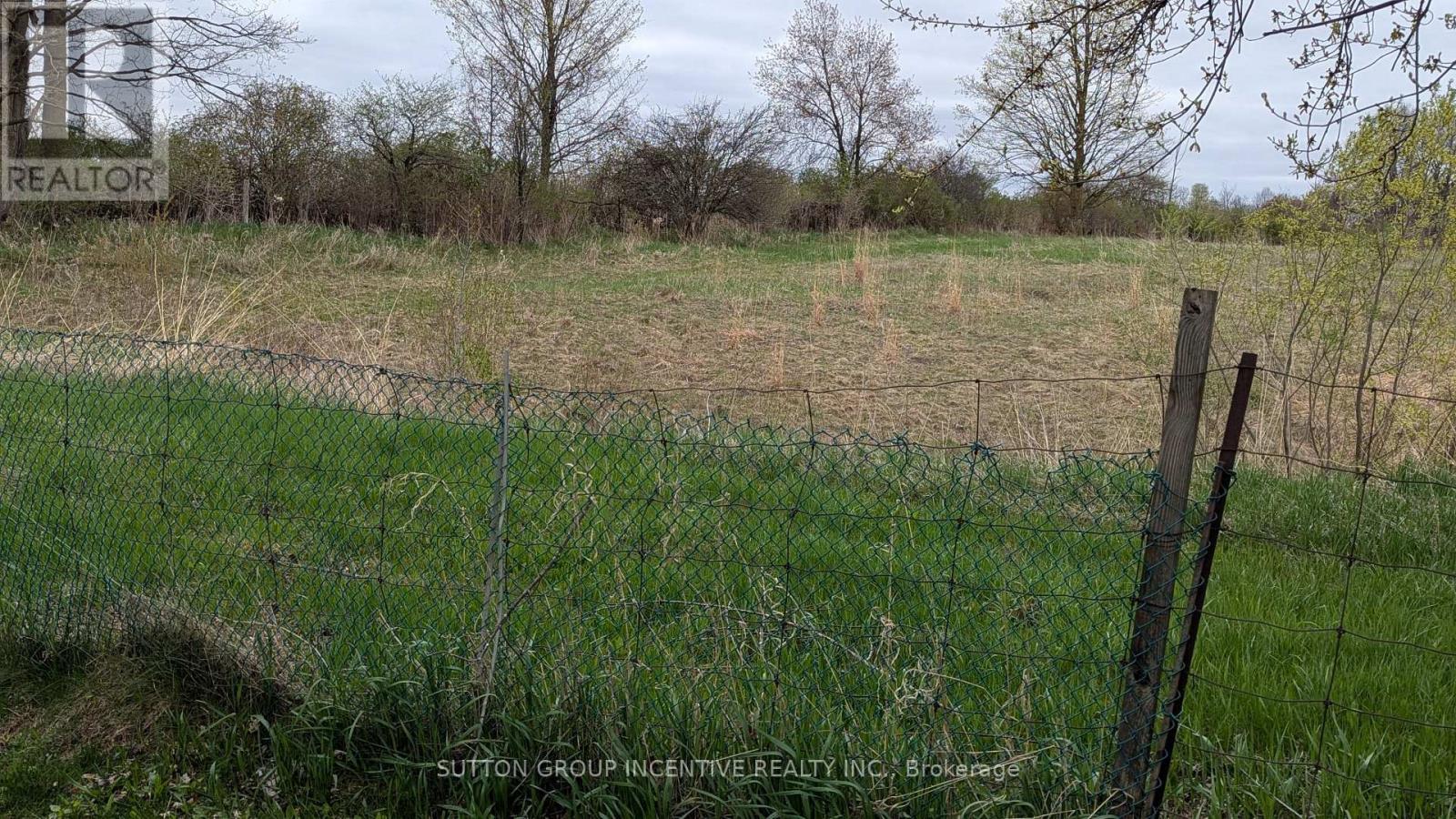 Backyard view - 49 Royal Oak Drive, Innisfil, ON - Outdoor With View