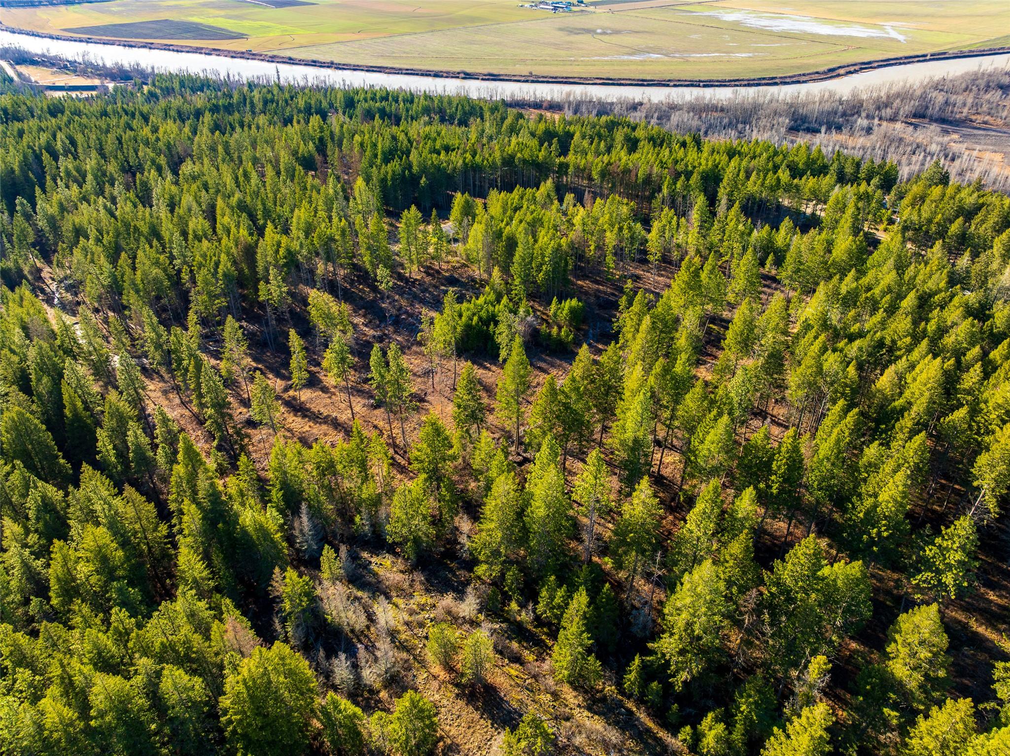 Lot B Fox Tree Hill Road, Lister, BC