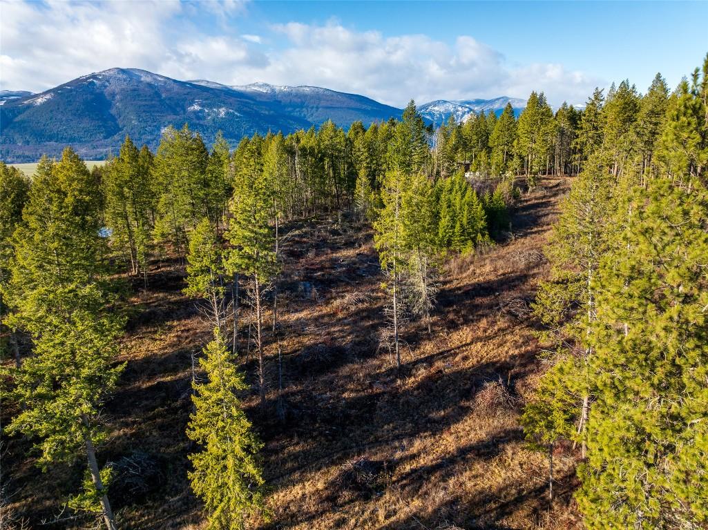 Lot B Fox Tree Hill Road, Lister, BC