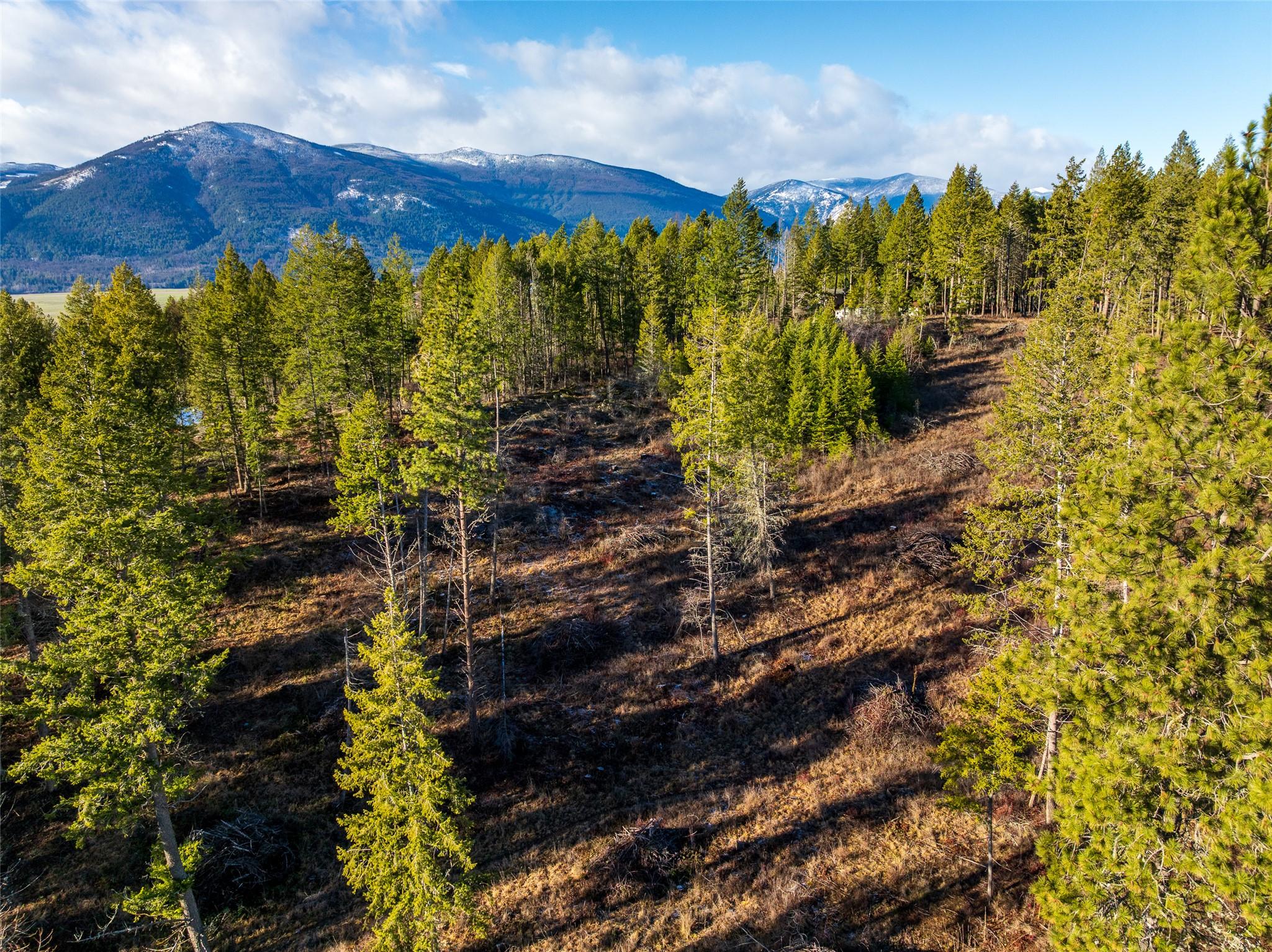 Lot B Fox Tree Hill Road, Lister, BC