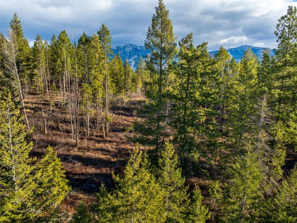 Lot B Fox Tree Hill Road, Lister, BC