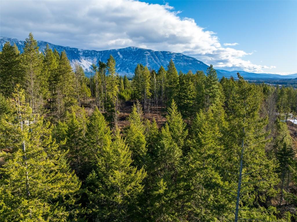 Lot B Fox Tree Hill Road, Lister, BC