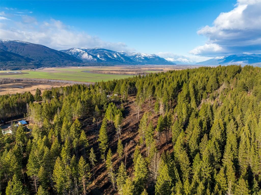 Lot B Fox Tree Hill Road, Lister, BC