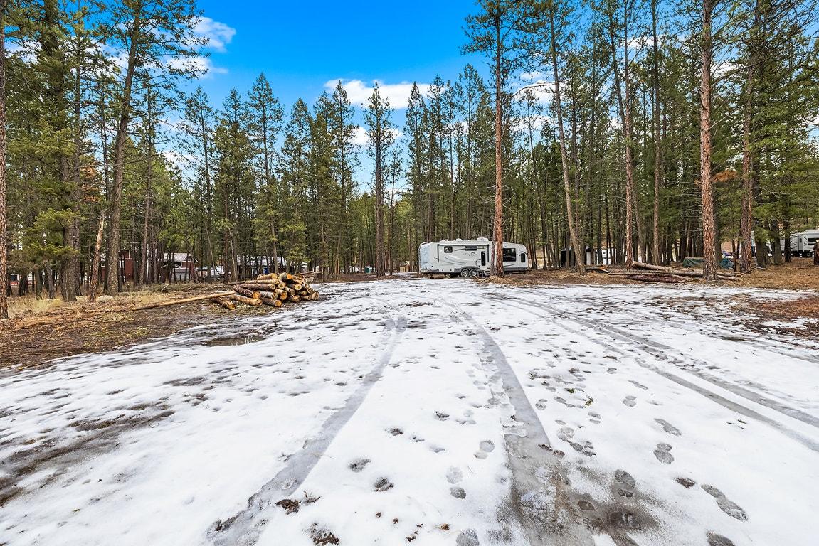 4918 Buck Crescent, Wasa, BC - Outdoor With View