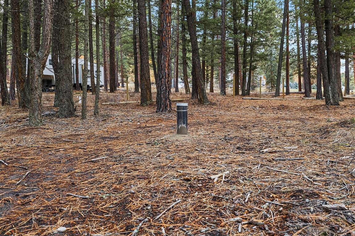 4918 Buck Crescent, Wasa, BC - Outdoor