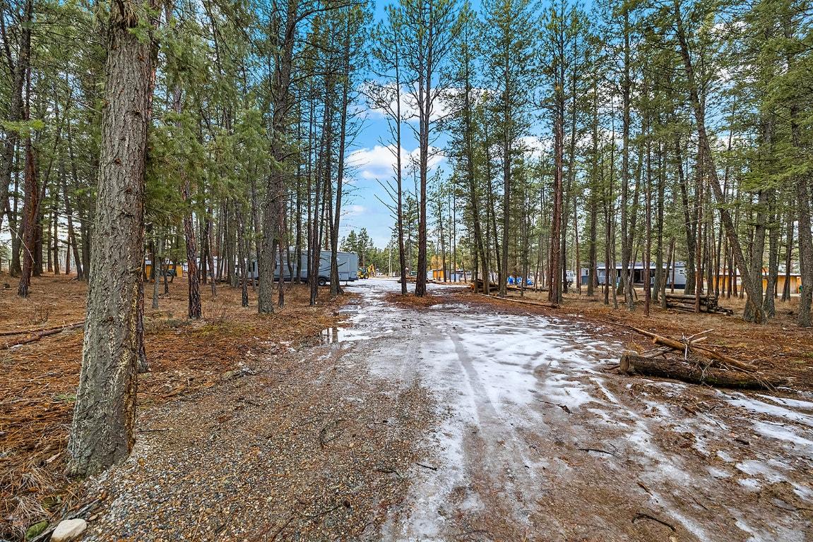 4918 Buck Crescent, Wasa, BC - Outdoor With View