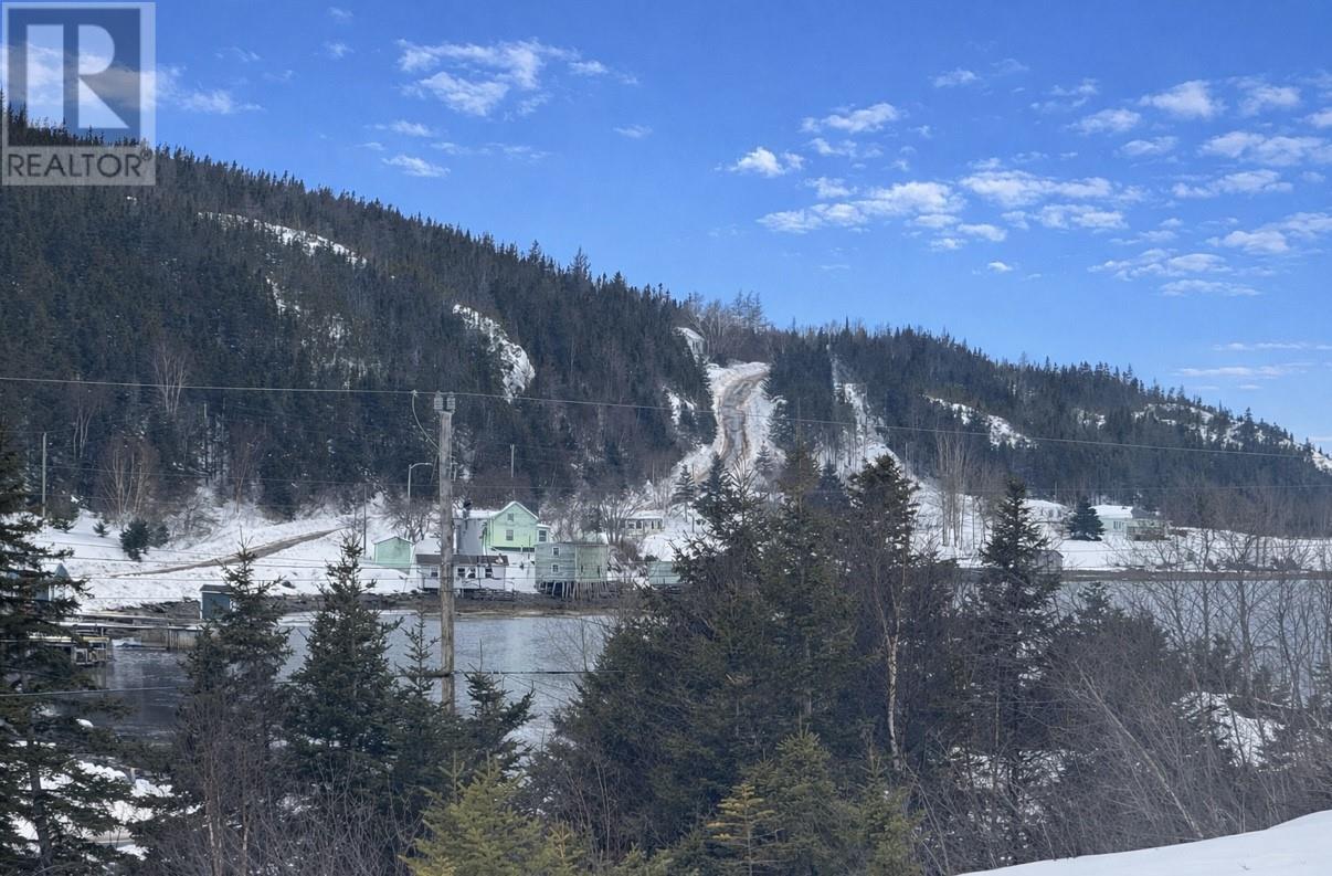 24 Main Road, Cottrell'S Cove, NL - Outdoor With View